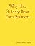 Why the Grizzly Bear Eats Salmon