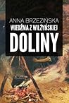 Wiedźma z Wilżyńskiej Doliny by Anna Brzezińska