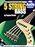 5-String Bass Guitar Lessons for Beginners by Stephan Richter