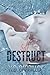 Self Destruct (Destroy)