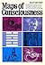 Maps of Consciousness: I Ching, Tantra, Tarot, Alchemy, Astrology, Actualism