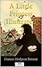 A Little Princess by Frances Hodgson Burnett