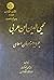 محیی الدین ابن عربی by محسن جهانگیری