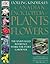 Canadian Encyclopedia Of Plants And Flowers