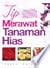 Tip Merawat Tanaman Hias