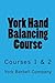 York Hand Balancing Course
