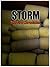 Storm: The Fire Chronicles