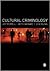 Cultural Criminology by Jeff Ferrell