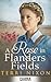 A Rose in Flanders Fields