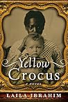 Yellow Crocus by Laila Ibrahim Yellow Crocus by Laila Ibrahim
