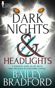 Dark Nights and Headlights (Dark Nights and Headlights #1)