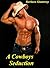 A Cowboys Seduction