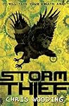 Storm Thief