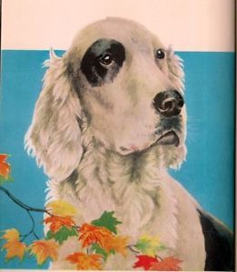 Raff:  The Story of an English Setter