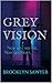 Grey Vision: Now you see me... Now you don't (Book #2)