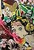 nomadic sojourns journal (v...