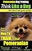 Pomeranian, Pomeranian Training AAA AKC: | Think Like a Dog, But Don’t Eat Your Poop! |: Here's How To Exactly How to Train Your Pomeranian