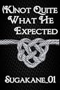(K)Not Quite What He Expected (Expectations, #1)