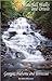 Waterfall Walks and Drives in Georgia, Alabama and Tennessee by Mark Morrison