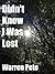 Didn't Know I Was Lost: Stories
