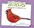 Birds: A Question and Answer Book (Pebble Plus: Animal Kingdom Questions and Answers)