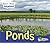 Ponds (Acorn: Water, Water Everywhere!)