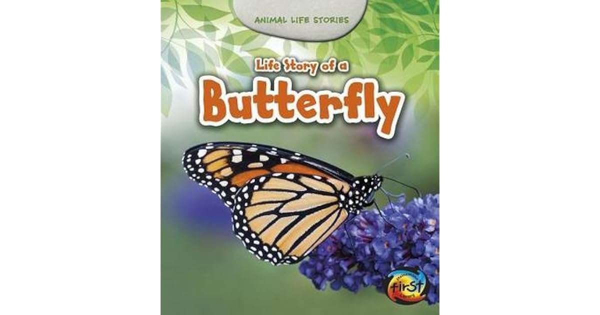 I am a butterfly essay for class 4 image