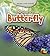 Life Story of a Butterfly (Heinemann First Library: Animal Life Stories)