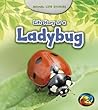 Life Story of a Ladybug by Charlotte Guillain