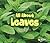 All About Leaves