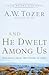 And He Dwelt Among Us: Teachings from the Gospel of John