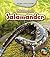 Life Story of a Salamander by Charlotte Guillain