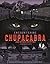 Encountering Chupacabra and Other Cryptids: Eyewitness Accounts (Graphic Library)