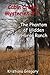 The Phantom of Hidden Horse Ranch by Kristiana Gregory