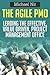The Agile PMO: Leading the Effective, Value driven, Project Management Office (Agile Business Leadership)