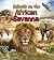 Animals on the African Savanna (Animals All Day!)
