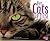 Pet Cats Up Close