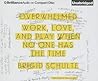 Overwhelmed by Brigid Schulte