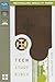 NIV, Teen Study Bible, Compact, Leathersoft, Brown by Sue W. Richards