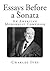 Essays Before a Sonata: An ...
