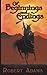 Of Beginnings and Endings (Castaways in Time, #6)