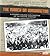 The March on Washington: A Primary Source Exploration of the Pivotal Protest (We Shall Overcome)