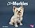 You'll Love Morkies (Favorite Designer Dogs)
