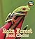 Rain Forest Food Chains (Heinemann First Library: Food Chains and Webs)