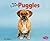 You'll Love Puggles (Favorite Designer Dogs)
