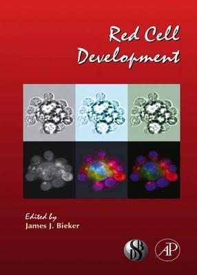 Red Cell Development, Volume 82