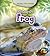 Life Story of a Frog (Heinemann First Library: Animal Life Stories)