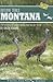 Birding Trails Montana