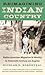 Reimagining Indian Country: Native American Migration and Identity in Twentieth-Century Los Angeles (First Peoples New Directions in Indigenous Studies)