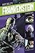 Frankenstein (Graphic Revolve: Common Core)